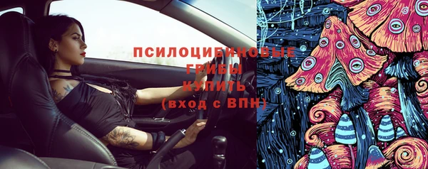 прущий лед Богородицк
