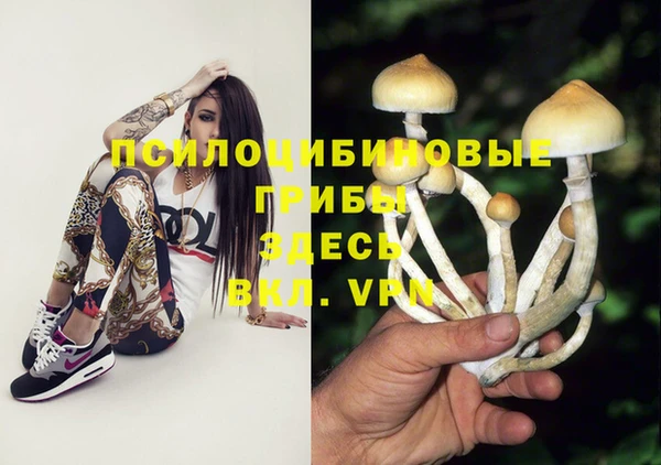 синтетический гашиш Богородск