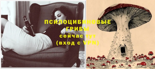 синтетический гашиш Богородск