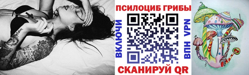Псилоцибиновые грибы Psilocybine cubensis  Щёкино 